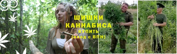 MDMA Карпинск