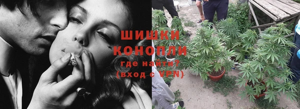 мдпв Касимов