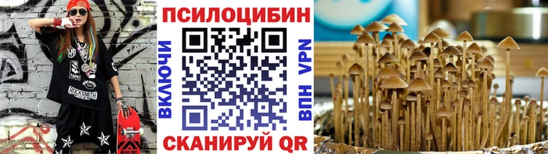 Купить закладки  Вилючинск  Псилоцибиновые грибы GOLDEN TEACHER 