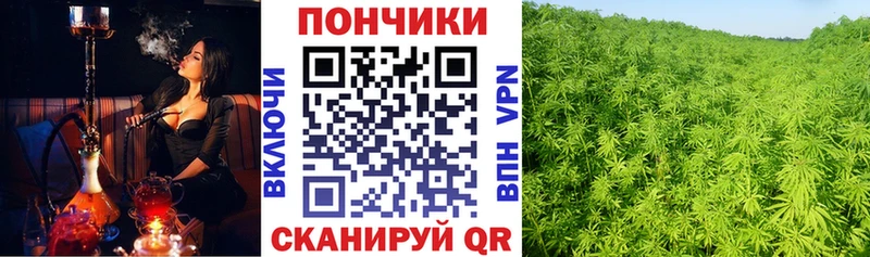 Каннабис VHQ Купить где Вилючинск